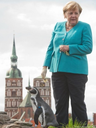Меркель в порядке: вернулась из отпуска и покормила пингвинов - «Новости Дня»