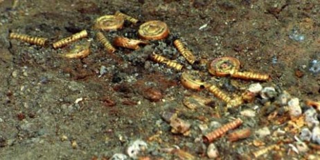 Під Полтавою знайшли скарб – золото скіфів - «Экономика»