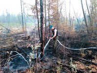 Площадь лесных пожаров в России увеличилась более чем на 7 тысяч гектаров Подробнее: ht - «Происшествия»