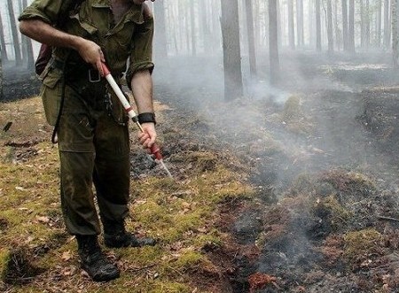 Площадь лесных пожаров в Сибири превысила 2,1 млн га - «Общество»