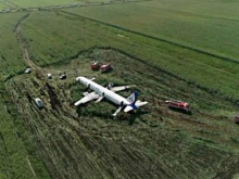 Посадка Airbus в кукурузном поле: как это было - «Военное обозрение»