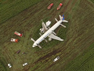 Россия: при аварийной посадке самолета пострадали 74 человека (Interia, Польша) - «Общество»