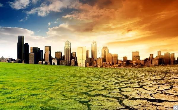 Ученые рассказали, кто переживет глобальное потепление - «Общество»