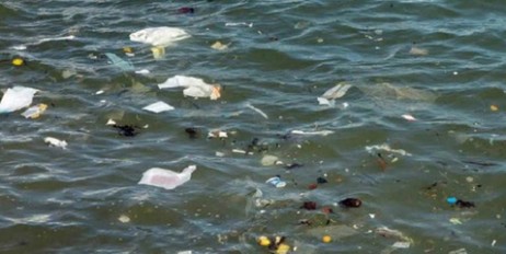 В Черном море вдвое больше мусора, чем Средиземном - «Происшествия»