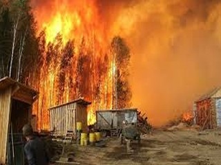 В Сибири растет площадь пожаров и токсичного задымления - «Спорт»