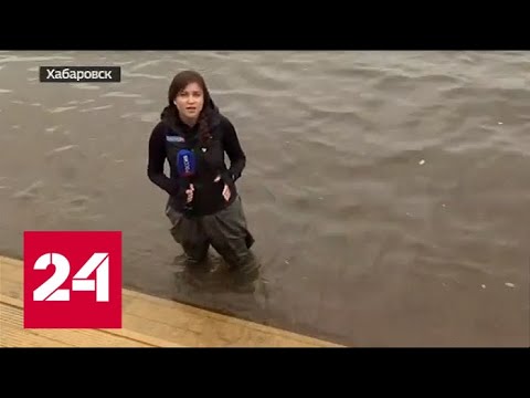 Вода прибывает: уровень Амура в Хабаровске в 30 сантиметрах от критической отметки - Россия 24 - (видео)