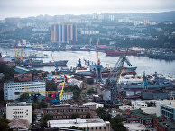 Baijiahao (Китай): Россия — самая большая страна, с самой длинной береговой линией, но хороших портов там мало - «ЭКОНОМИКА»