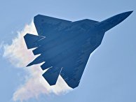 Baitnews (Литва): пилотажный мастер. Почему военные эксперты «зацепились» за российский Су-57 - «Военные дела»