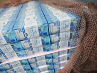 Bloomberg (США): путинская экономическая команда разошлась во мнениях насчет планируемого Кремлем вливания денег в экономику - «Политика»