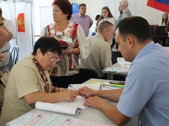 Брянский избирком назвал точные итоги выборов в областную Думу