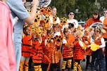 День тигра отметят в Уссурийске 29 сентября - «Новости Уссурийска»