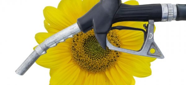 Аргентина требует отмены высоких пошлин на биодизель в США - «Новости дня»