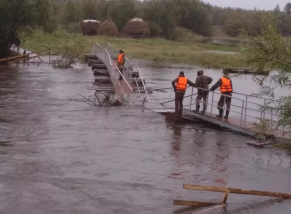 Глава Серова назвал причины обрушения моста в Филькино