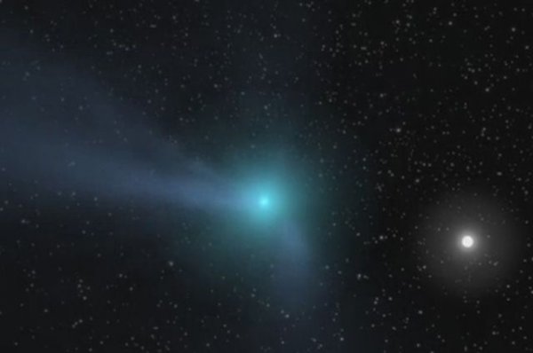 Хвостатая странница. Крымский астроном открыл первую межзвездную комету | Наука | Общество - «Происшествия»