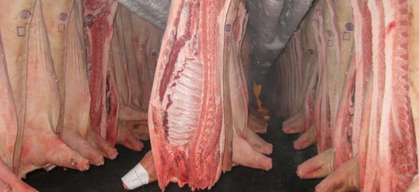Импорт бразильской свинины в Китай вырос на 76% - «Здоровье»