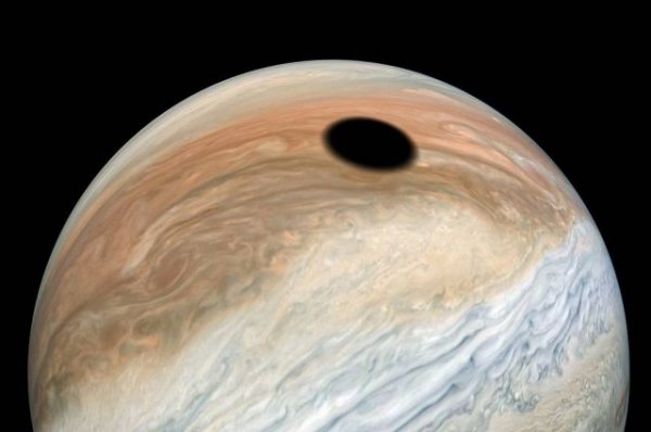 Крупное черное пятно на Юпитере оказалось тенью от спутника | Наука | Общество - «Политика»