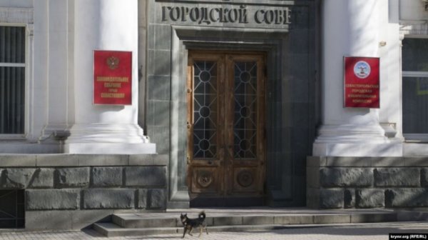 На выборах в Севастополе явка выросла до 20% - «Новости Дня»