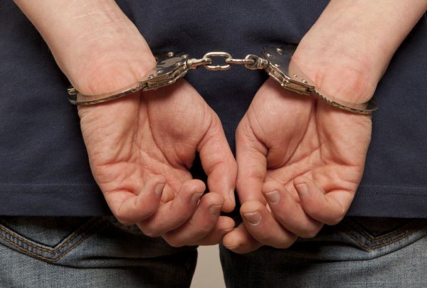 Полиция Тореза задержала подростка за кражу овощей, ему грозит до пяти лет тюрьмы – МВД ДНР