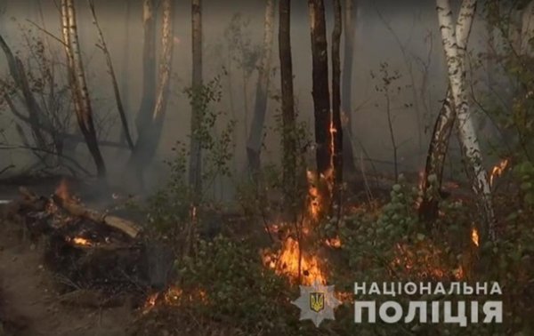 Пожар под Чернобылем: задержали подозреваемую в поджоге
