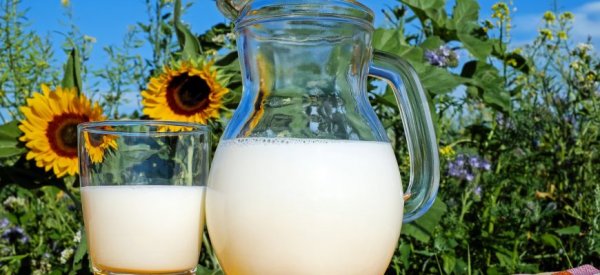 России удалось избежать сезонных колебаний цен на сырое молоко - «Экономика»