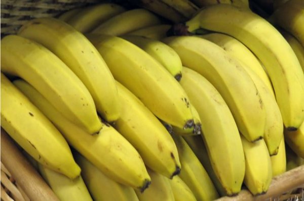 Ученые: из-за изменения климата к 2050 году могут исчезнуть бананы | Наука | Общество - «Политика»