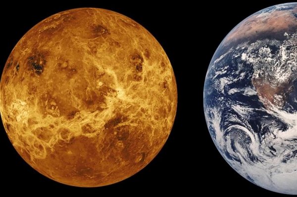 Ученые NASA: Древняя Венера могла быть обитаема - «Новости дня»