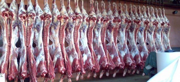 В Аргентине повышают экспорт мяса и рыбы с помощью online-сервиса - «Здоровье»