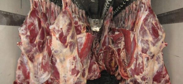 В Аргентине снижается производство говядины - «Здоровье»