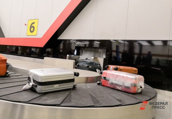 В Кольцово тюменцы похитили чемодан пассажирки из Парижа