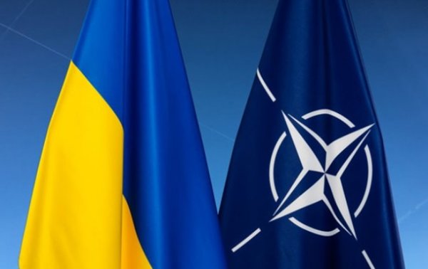 В НАТО одобрили возвращение Сенцова и моряков