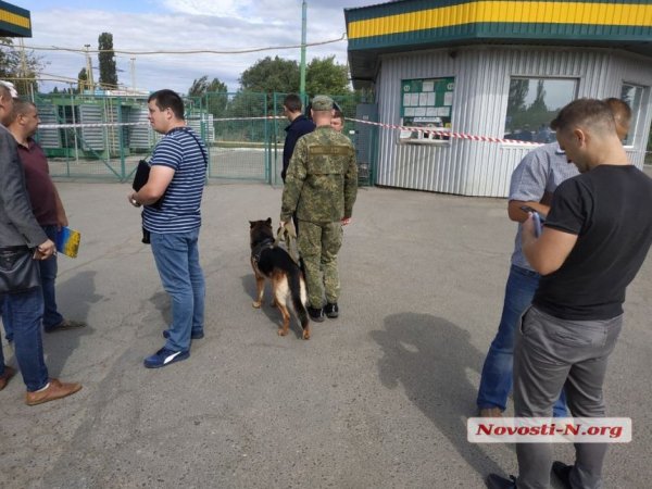В Николаеве на заправке расстреляли трех работников, объявлена спецоперация - «Экономика»