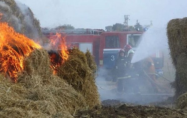 В Одесской области ребенок сгорел в стоге сена