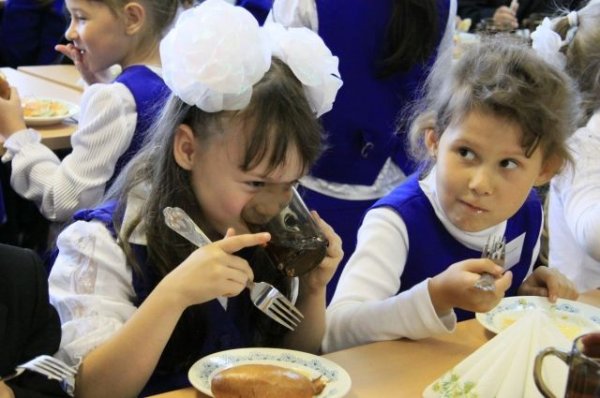 В Воронеже школьников кормили гнилыми овощами и фруктами | Происшествия - «Происшествия»