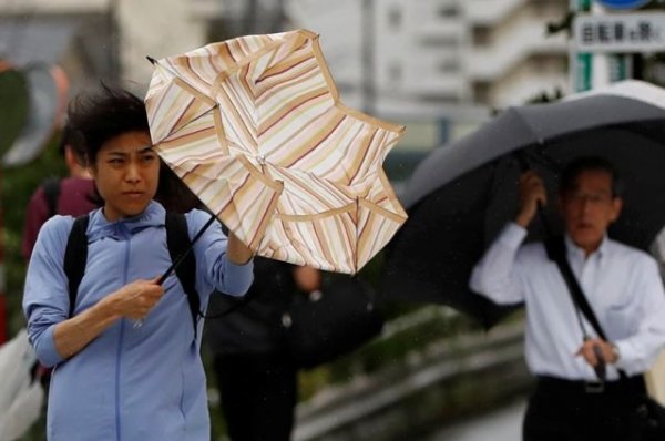 В Японии 900 тысяч домов остались без света из-за тайфуна - СМИ | Происшествия - «Политика»