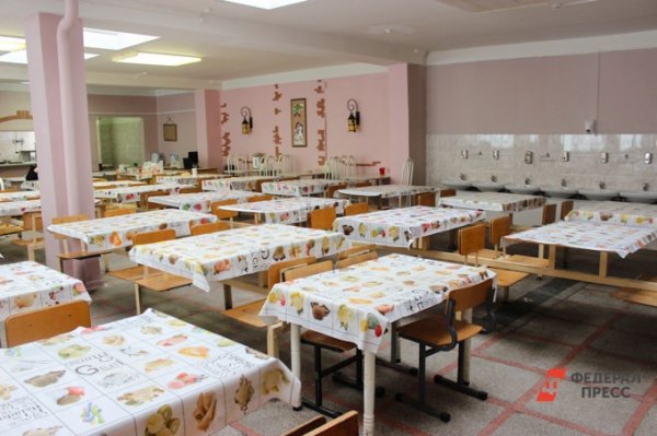 В Зауралье родители жалуются на сборы за обеды детей-школьников