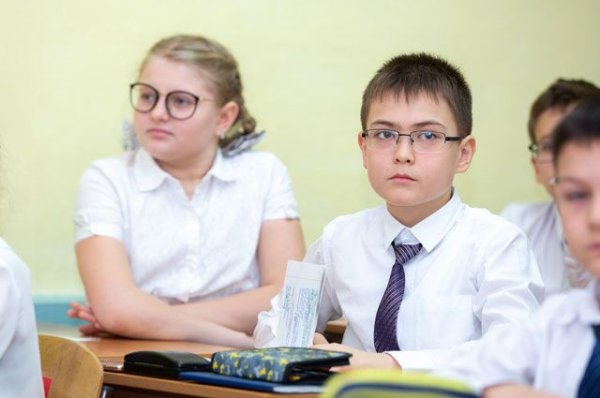 «Я тебя не понимай». Почему дети из СНГ испытывают проблемы в школах России | ОБЩЕСТВО | АиФ Санкт-Петербург - «Происшествия»