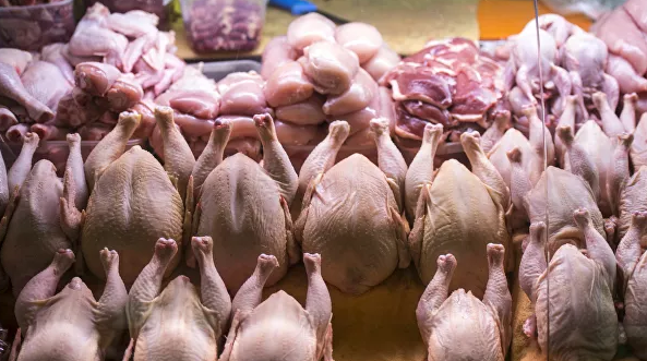 Поставки курятины из России в Китай в 2020 году превысят 100 тысяч тонн - «Авто новости»