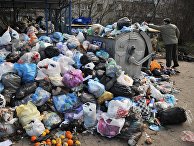 Русская Германия (Германия): спасет ли мир наш отказ от пластиковых пакетов? - «Общество»