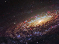 The Conversation (Великобритания): что-то убивает галактики, и ученые следят за этим - «Наука»