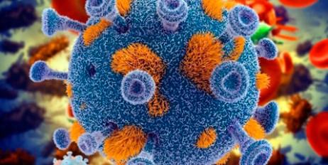 В клетках человека нашли «выключатель» вируса ВИЧ - «Общество»