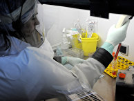 Vox (США): в российской лаборатории, где хранились образцы оспы и Эболы, произошел взрыв - «Наука»