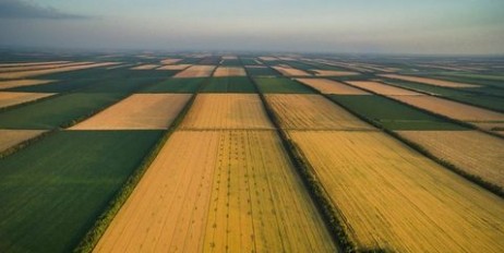 73% українців проти відкриття ринку землі - «Экономика»