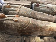 Al Ahram (Египет): министерство по делам древностей Египта обнаружило 30 нетронутых саркофагов - «Наука»
