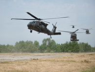 Delfi (Литва): Литва почти за 300 миллионов евро закупит у США шесть вертолетов Black Hawk - «Политика»