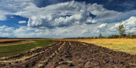 Эксперт: Нынешняя земельная реформа - скользкий дождевой червь в руках новой власти - «Экономика»