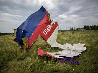 Гордон (Украина): глава МИД Нидерландов пояснил, как его страна будет расследовать роль Украины в катастрофе MH17 - «Политика»