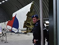 Гордон (Украина): парламент Нидерландов призвал расследовать роль Украины в крушении MH17 - «Политика»