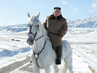 Ким Чен Ын поднялся на гору Пэктусан на белом коне - «Общество»