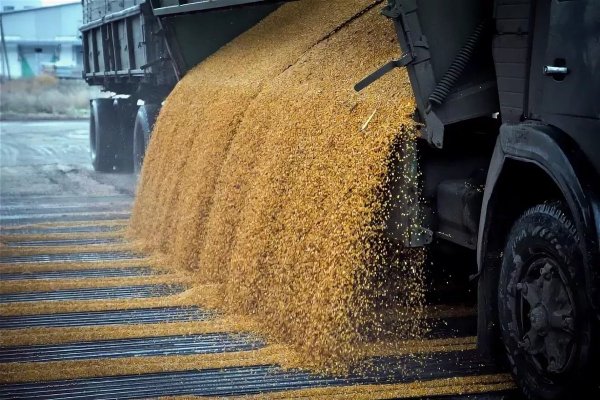Еленовский комбинат хлебопродуктов вышел на рекордные за последние 20 лет объемы переработки зерна