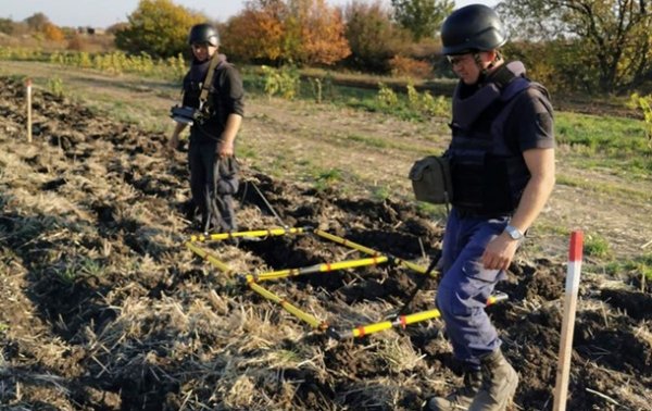 На Донбассе за неделю обезвредили почти 700 взрывоопасных предметов